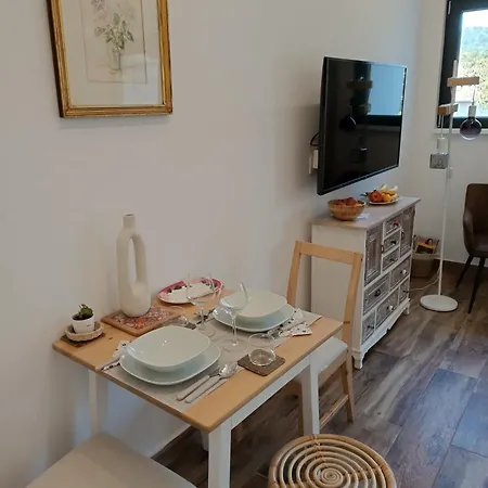 Hedonica 11 Ema Vrdnik